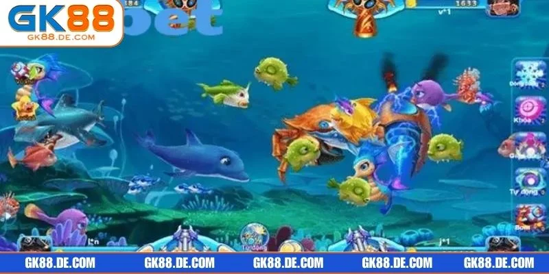 Đây chính là hành trình săn thưởng đổi đời